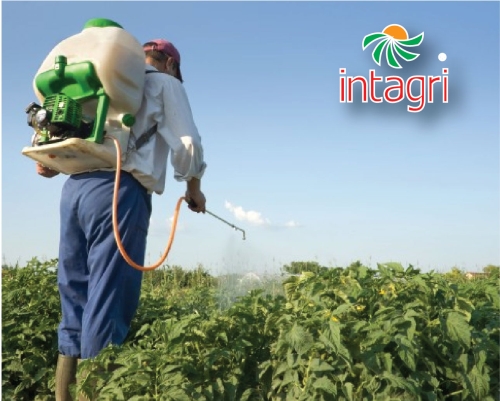 Los Biofertilizantes En La Agricultura | Intagri S.C.